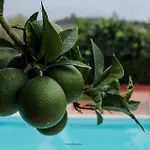 Il Casale Il Sole E La Margherita