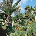 Villa Delle Palme