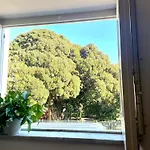 Bella Kalsa