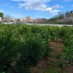 Giardino Delle Arance Luxury Rooms