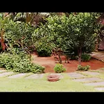 Villa Rosa Holidays