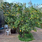 Villa Gatto