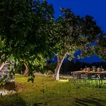 Avocado Garten
