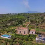 Avocado Garten