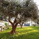 Casa Marsala