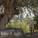 Antico Borgo Etneo Country Hotel