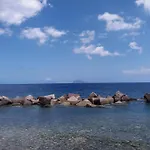 Il Delfino