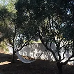 Moby Dick Super Panoramic