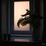 Eleven Holidays Home