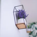 Home Caronda Catania