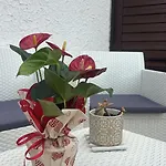 Appartamento Giardini Naxos Butterflies Home
