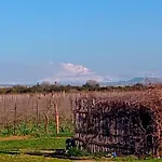 Vigna Di Pettineo - Guest House