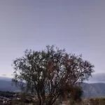 Il Calice Dell'Etna