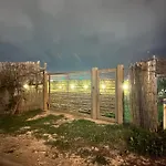 Mediterraneo Argento
