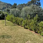 Villa Simo