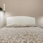 Li Cuti Home