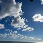 Il Vigneto