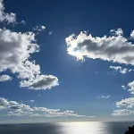 Il Vigneto