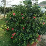 Holiday Home Riserva Marina Protetta