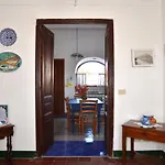 Bamboo Pantelleria