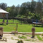 La Pace Dei Sensi