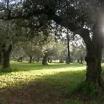 Casa Le Antiche Macine Bilocale Immerso Fra Gli Ulivi