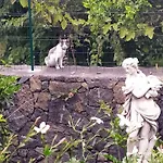 Il Giardino Di Galatea