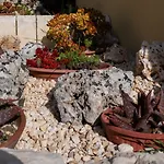 La Goccia D'Oro