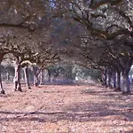 Giardino Del Mare