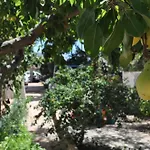 Villa Hibisco