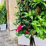 A Casa Da Anita