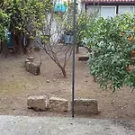 Jujube Hortus Apartment 4