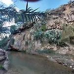 The Green Planet