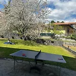 Etna Sotto Il Ciliegio