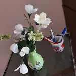 Una Rosa Blu