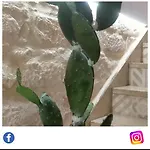 Le Volte