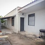 Selinuntes Home