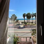 Faro 33