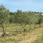 Country House Il Gelso E L'Ulivo Appartamento In Villa L'Ulivo