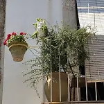 La Casa Dell'Artista - Affitti Brevi - Ferla