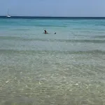 Le Tre Palme