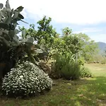 La Casa Di Bacco - Etna Country House - Affitto Breve
