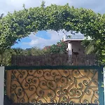 Garden & Sea