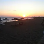 Il Pianista Sul Mare