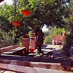La Ginestra