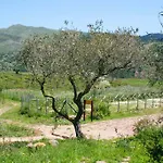 Agriturismo Parco Vecchio