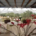 Villa Alisia