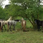 Azienda Agricola Traina