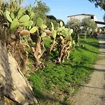 L'agave E La Palma Nana