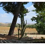 B&B Stazione Dittaino